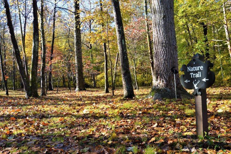 Shadow Mountain Escape Cabin Rentals Luray Exterior photo